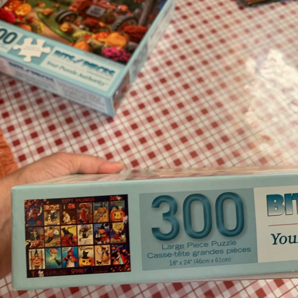 Puzzle 🧩 - Picture 4 of 4